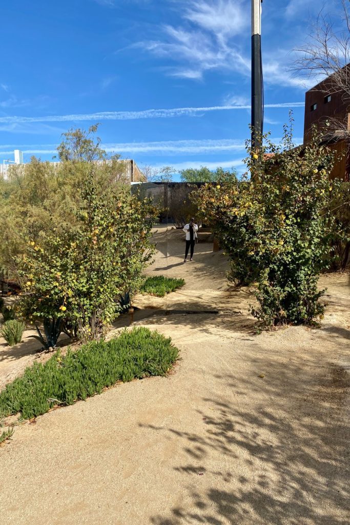 Courtyard at Frida Winery in Ensenada MX