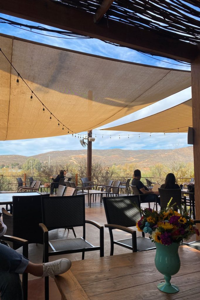 Frida Winery Patio Mountain View