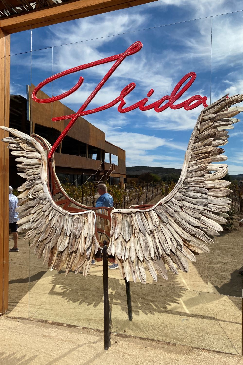 Ensenada Mexico Winery: Casa FRIDA Valle de Guadalupe 