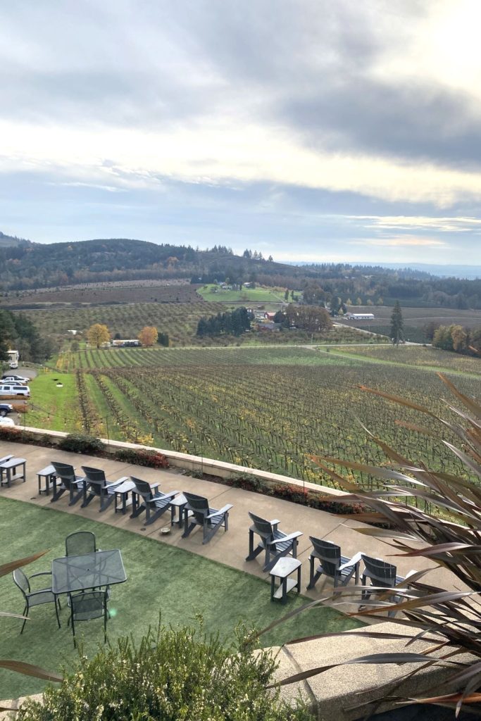 View from Willamette Valley Vineyards