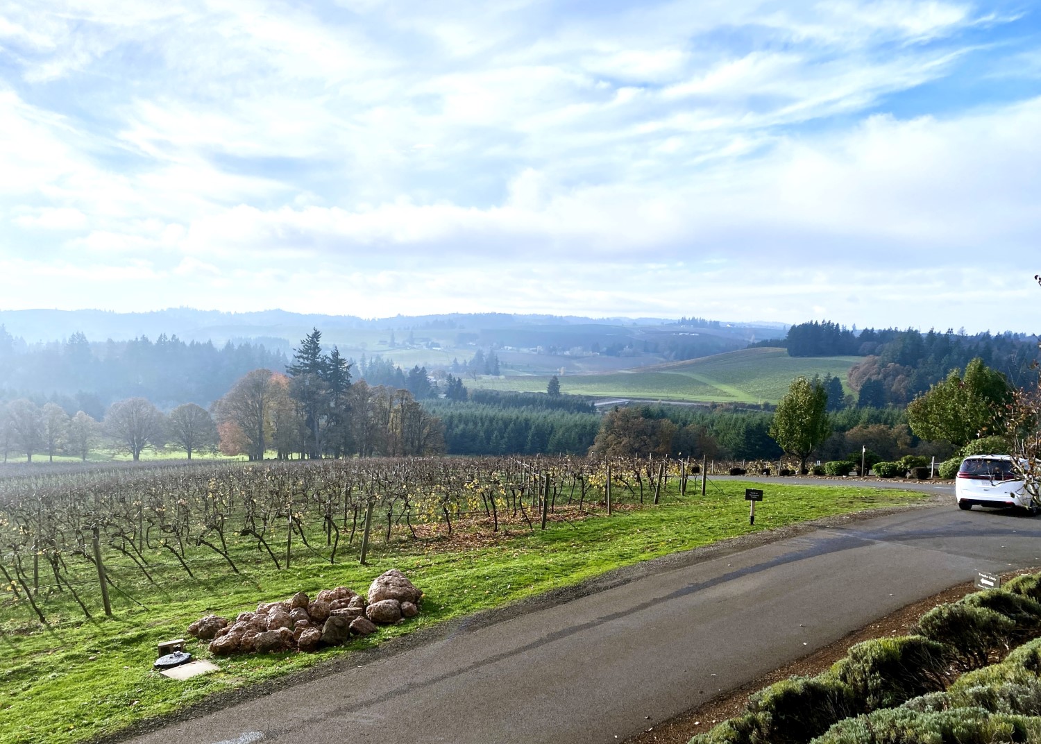 Discover the Best Willamette Valley Wine Tasting Experience