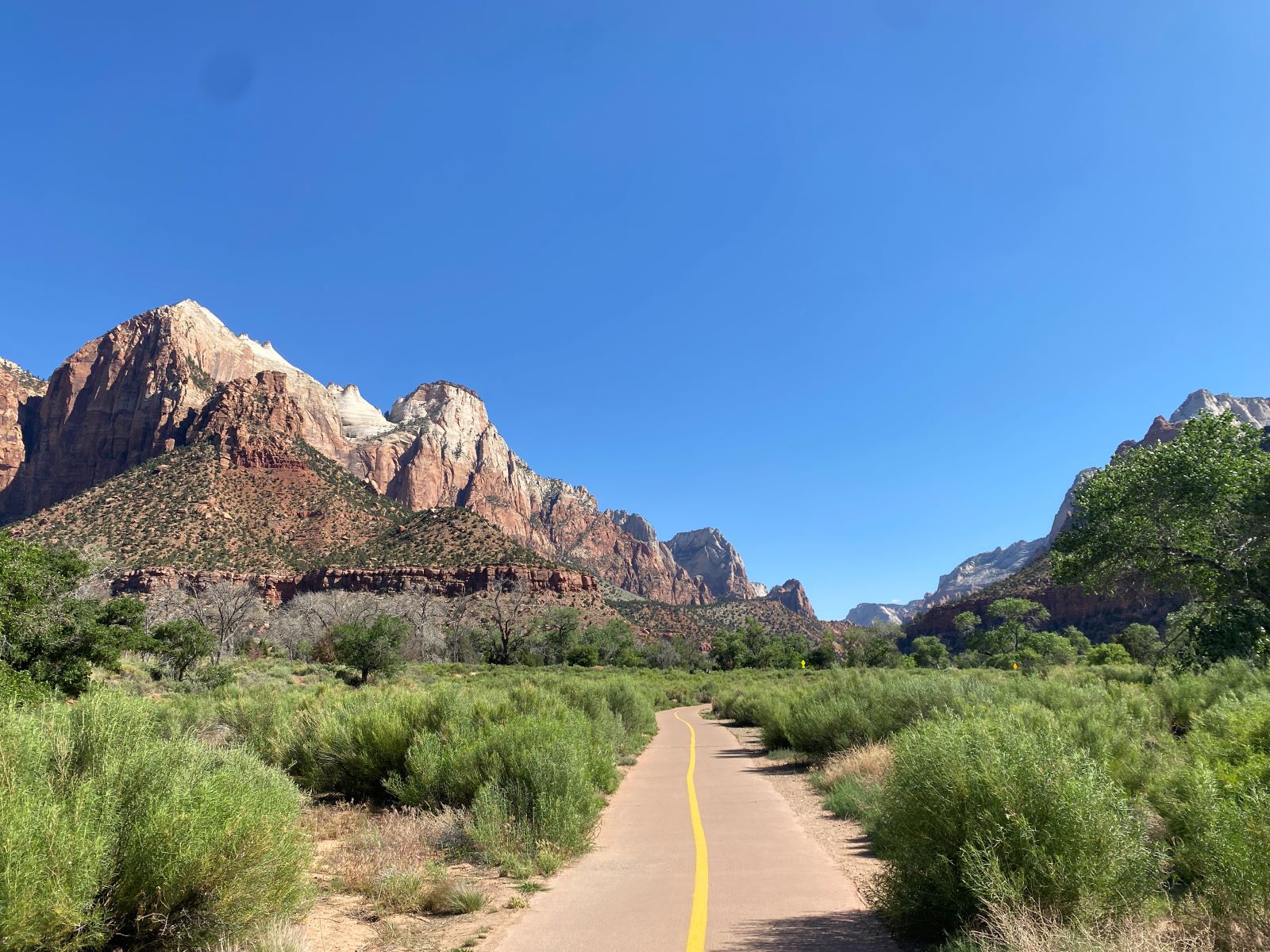 Zion National Park, Utah: How to Plan the Perfect Day Trip