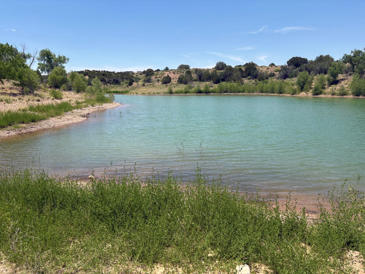 Lake Sumner State Park: New Mexico’s Hidden Gem