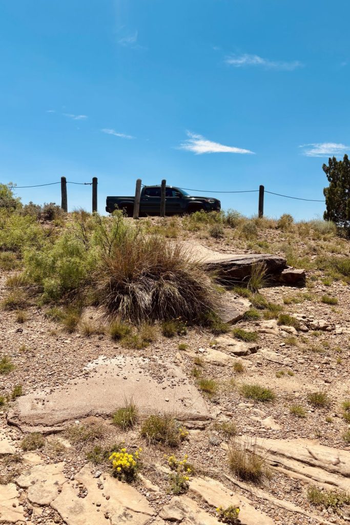 Road trip to Sumner Lake State Park 