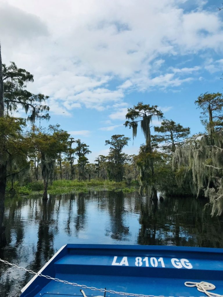 Swamp tour in Barataria New Orleans
