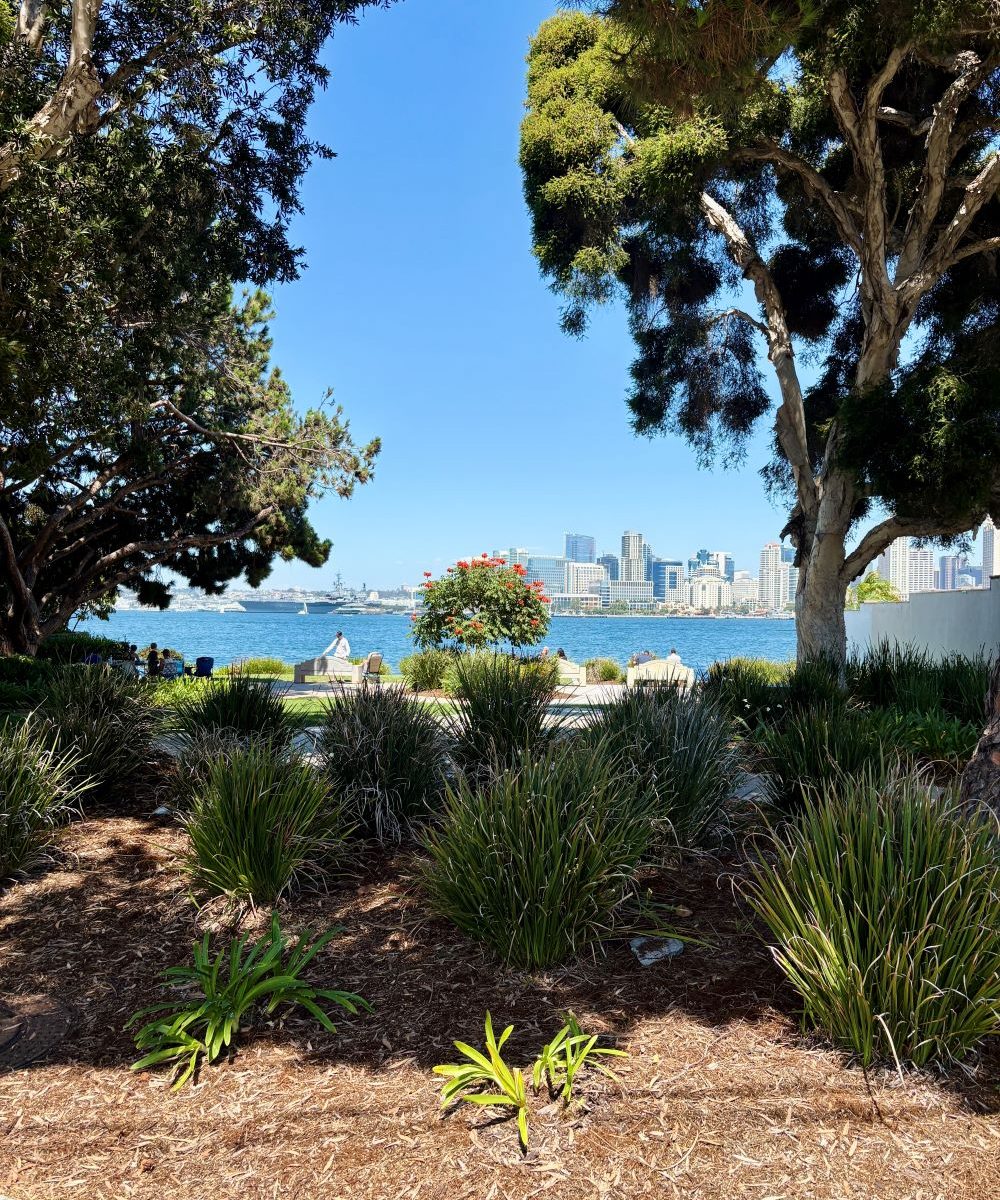 Ocean sights at Bay View Park in San Diego