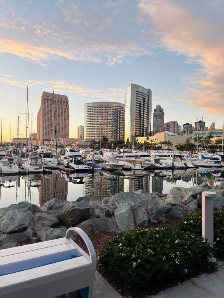 City View from Embarcadero Marina Park