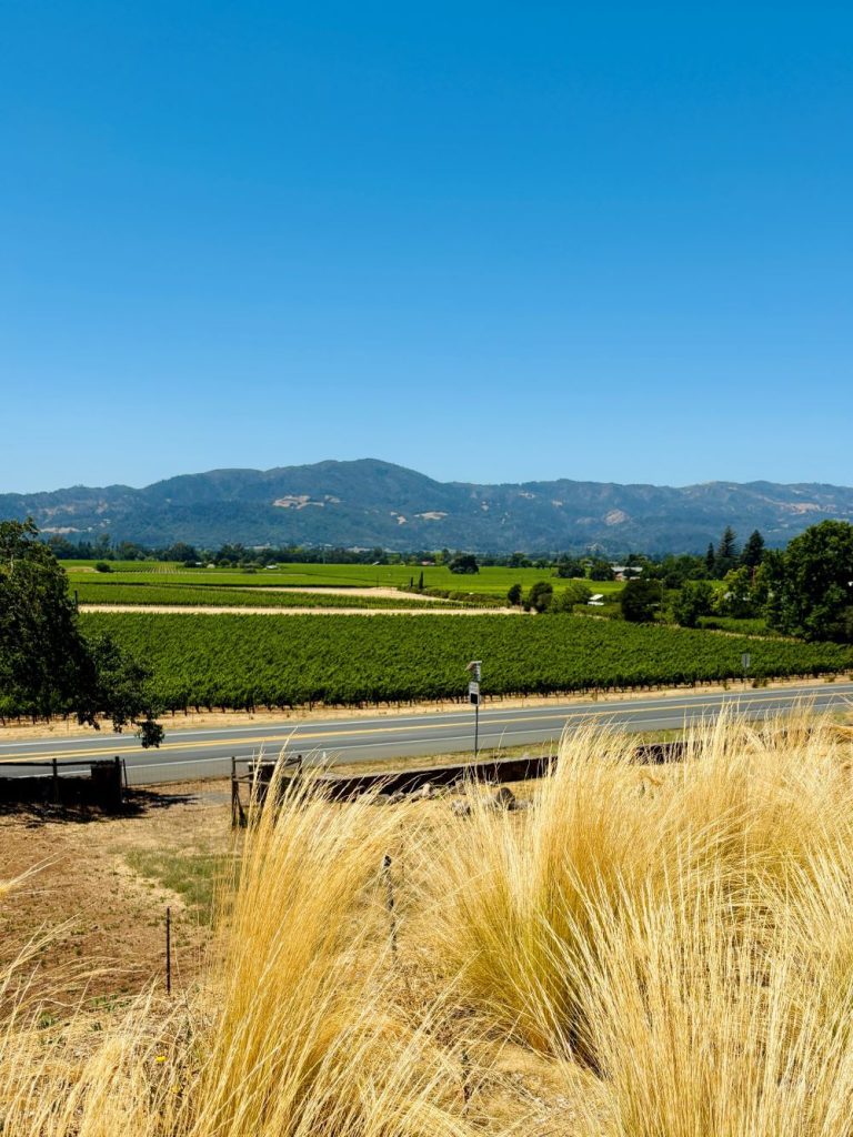 Mountain view from Miner Family Winery in Napa, CA
