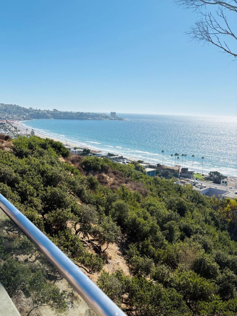 Ocean view from Birch Aquarium