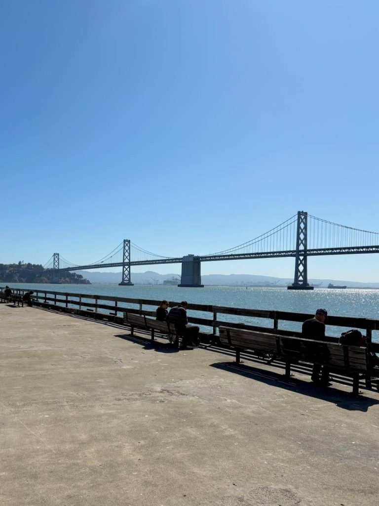 San Francisco Bay Bridge View