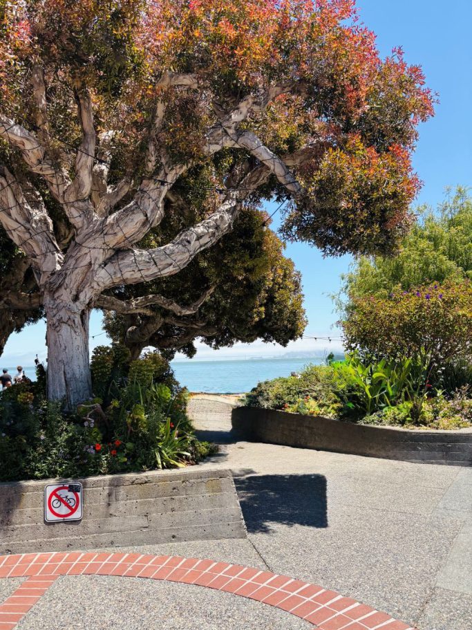 Waterfront park in Sausalito