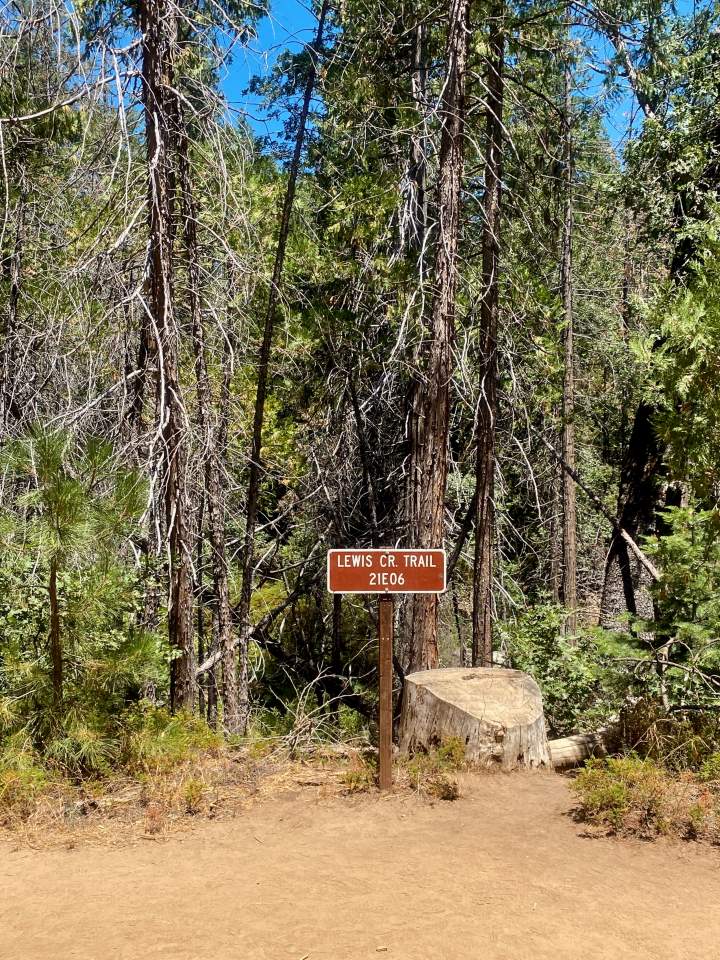 A dirt path leads into a dense forest under a clear blue sky. A brown sign reads "Lewis Cr. Trail 21E06," next to a large tree stump. The scene is serene and inviting.