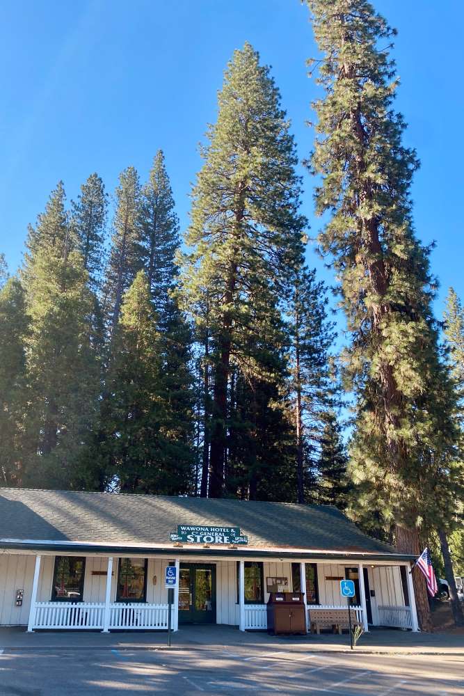 Single-story building labeled "Wawona General STORE" with a white exterior, nestled among towering pine trees under a clear blue sky. An American flag is displayed outside.